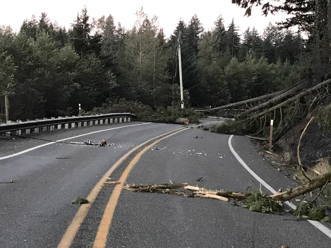 rocks, trees and power line on road. 
