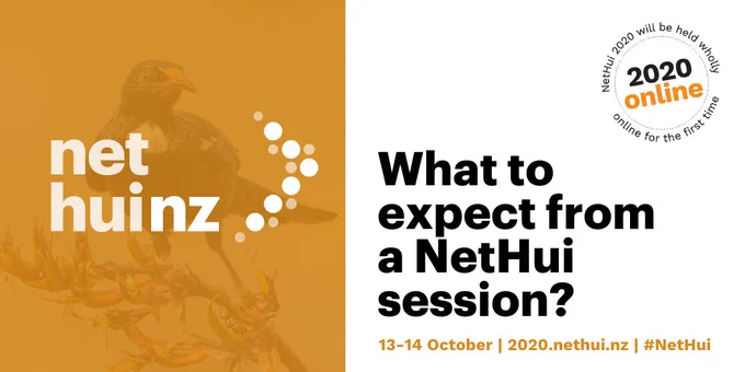 What to expect from a NetHui session?