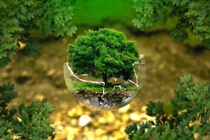 A tree growing out of a fragile, half-cracked glass globe representing the climate emergency.
