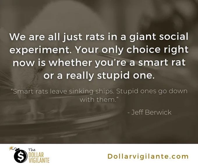 Smart rats leave sinking ships. Stupid ones go down with them.

Survive and Prosper--> https://dollarvigilante.com/subscribe/

#COVID19 #Freedom #Liberty #Money #CryptoCurrency 