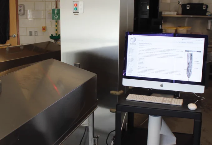 Photograph depicting the location of the iMac computer with high-speed wireless Internet connection adjacent to a dissection table in the gross anatomy laboratory. Showing on the screen is the default system web browser Safari with an example webpage shown (Wikipedia.org, article about the conus medullaris). Learners were free to browse the Internet during and outside of scheduled anatomy laboratory sessions.