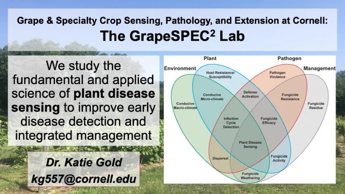 Grape and speciality crop sensing, pathology and extension lab at Cornell: the GrapeSPEC2 lab. We study the fundamental and applied science of plant disease sensing to improve early disease detection and integrated management. Dr. Katie Gold, kg557@cornell.edu.