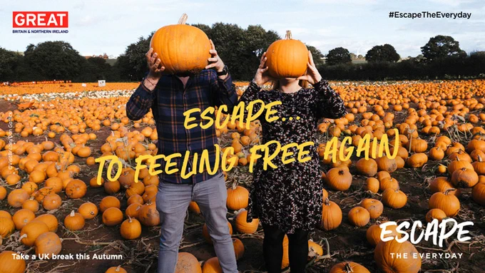 Two people holding pumpkins up in a pumpkin patch, Nottingham