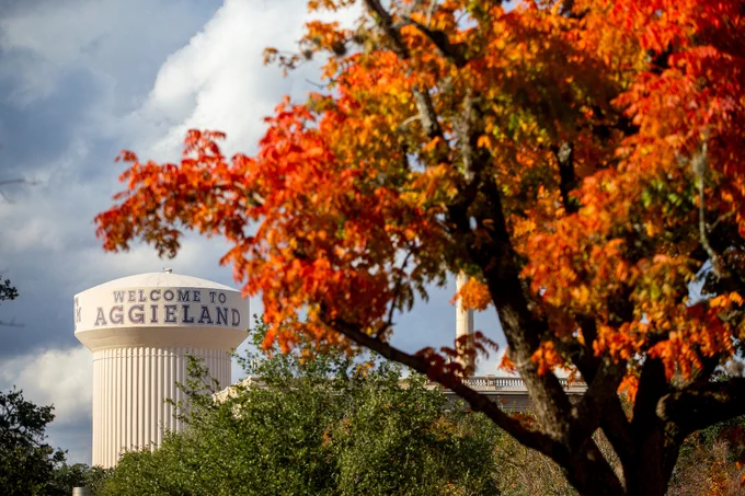 looking past red and orange fall leaves to the water tower that says welcome to aggieland