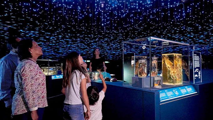 Life in the Dark Exhibition at the Natural History Museum