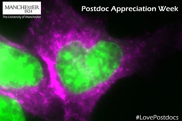 Postdoc Appreciation Week