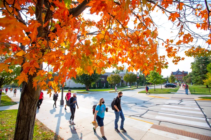 Students walk to class under the autumn leaves of a tree.