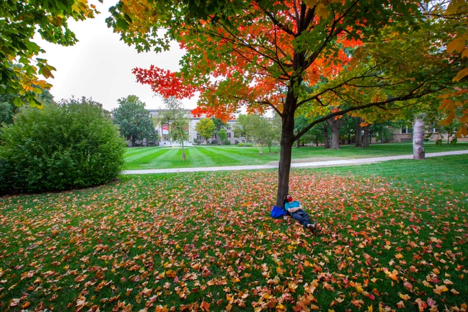 A student relaxes among fall leaves under a tree.