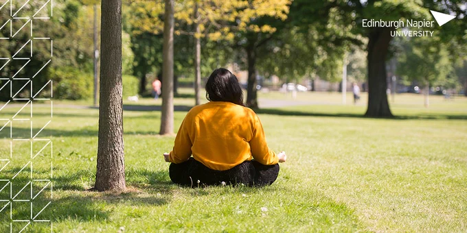 A person sits with their back to the camera in a park. 