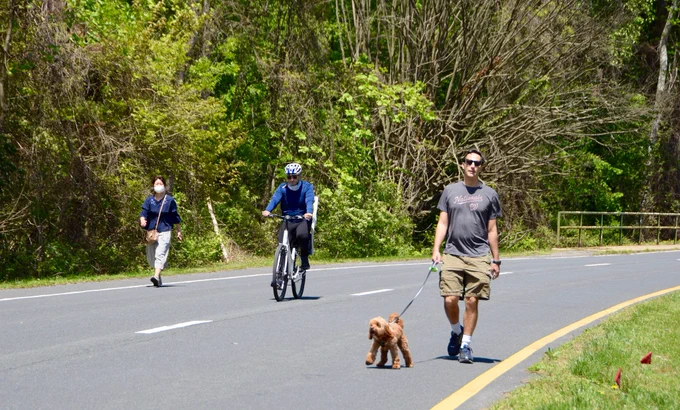Adults walking, riding a bike, and walking a dog on our car-free streets.