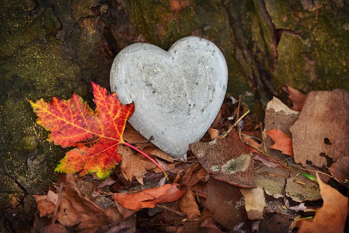 heart, stone, symbol