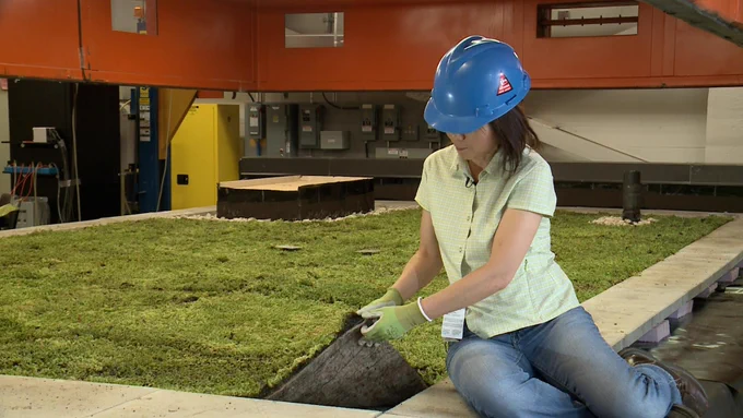 Dr. Karen Liu examines layers of a vegetated roof system at the National Research Council of Canada wind testing laboratories.