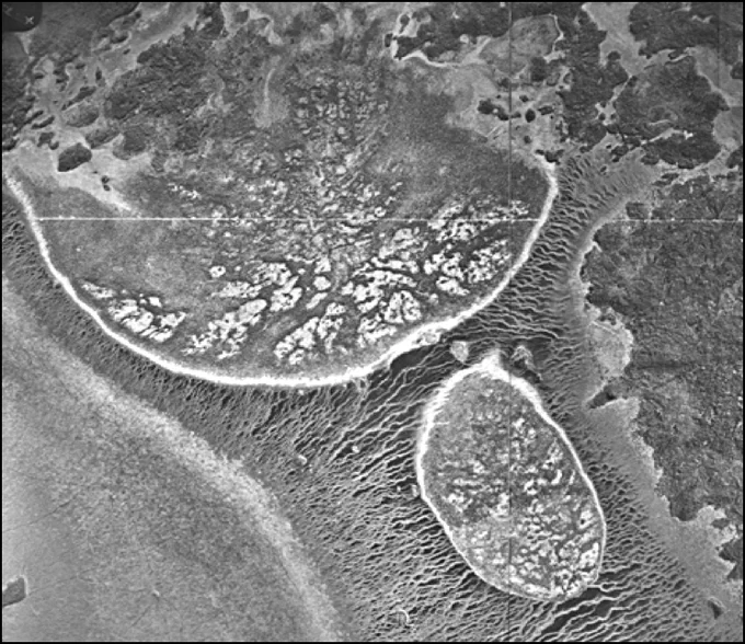 Black and white image with two bubbles inside an area with ribbon markings. Each bubble has white colored spots. The scale is not provided and is unclear. Viewer is asked to interpret what the image represents.