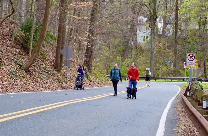 A couple walks the dog while a woman next to them pushes a stroller on one section of a car-free street.