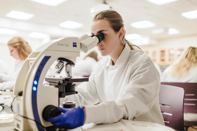 A student uses a microscope in a laboratory.