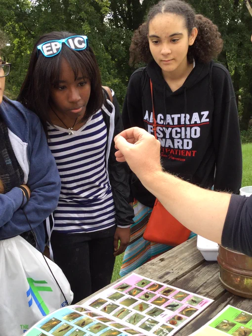 High school students looking at aquatic insects