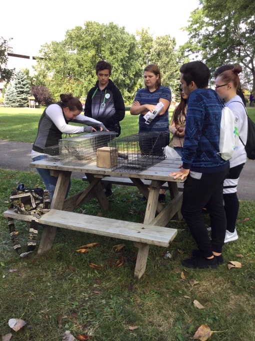 High school students looking at small mammal trap