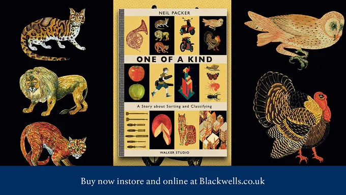 Book jacket plus detail of One of a Kind by Neil Packer