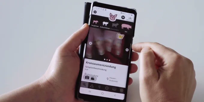 Handy-App in Benutzung