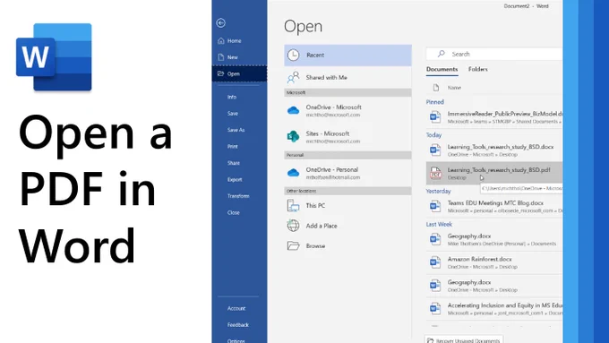 Picture of Open PDF in Word