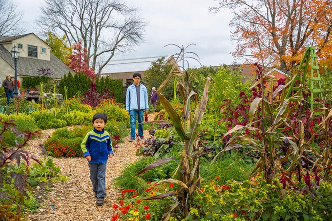 Visitors of all ages engage in urban agriculture and food growing programs around the country. Pictured here: Tower Hill Botanic Garden, Massachusetts