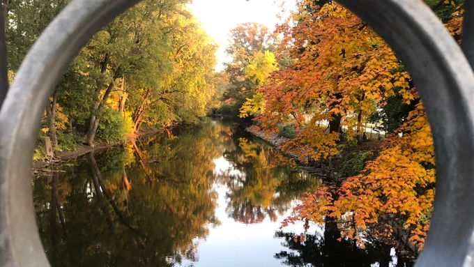 Red Cedar River 