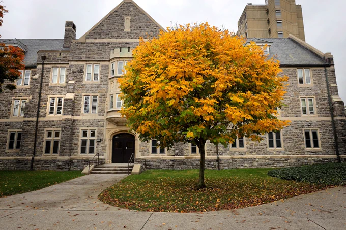 yellow fall tree in front of Hokie Stone