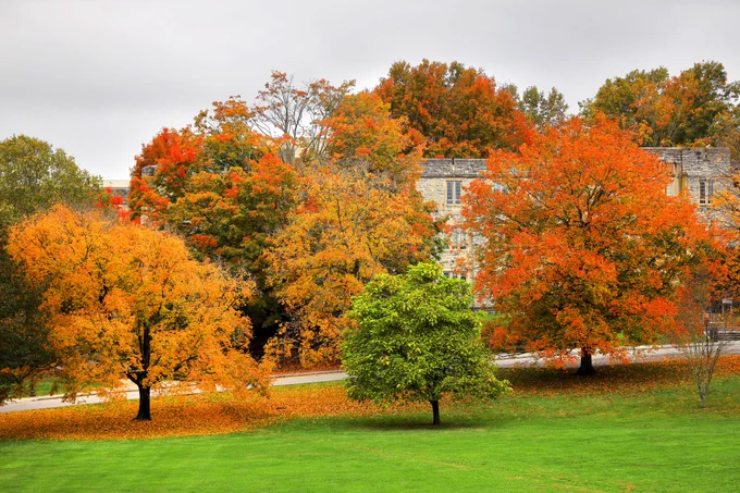 Orange, yellow, and green trees in front of Hokie Stone
