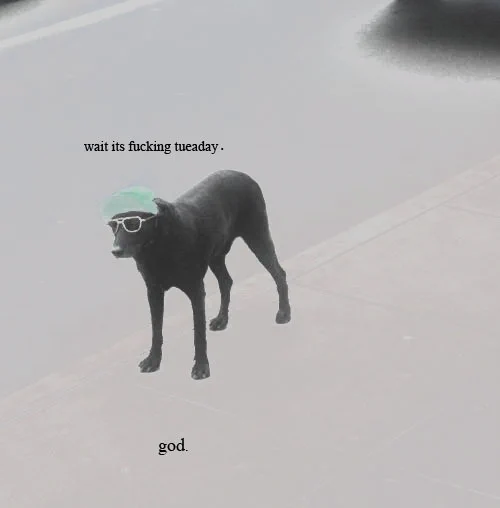 http://itwashotwestayedinthewater.tumblr.com/post/127542162548