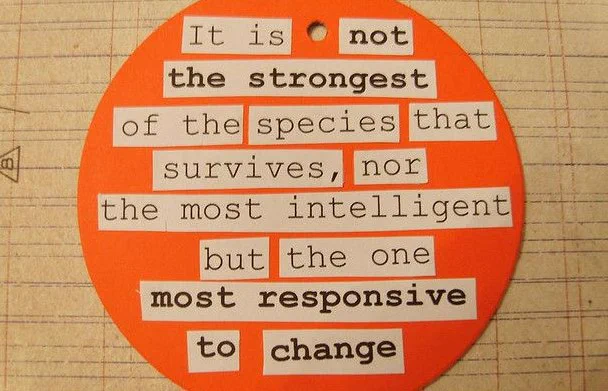 Quote attributed to Leon C. Megginson, Professor of Management and Marketing at Louisiana State University at Baton Rouge