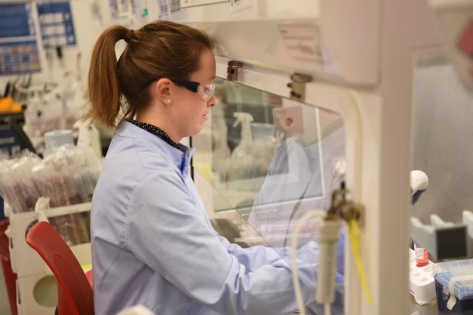 Person working in a lab