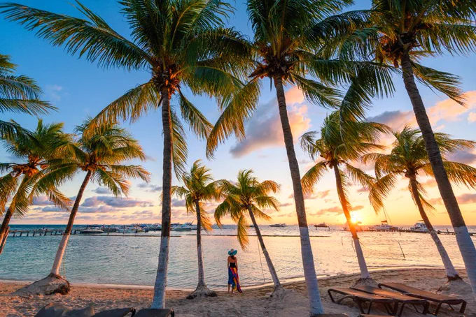 Woman standing on a beautiful beach with palm trees at sunset.