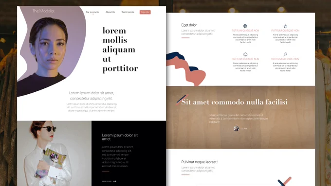 Let's connect on Dribbble ! My username is anesofy