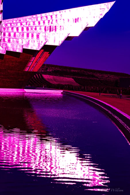 #wine #winephotography #freelancephotography #fotografia #professionalcontent #contentcreation #contentprovider #rioja #ysios #reflection #reflections #entrepreneur #winebusiness #purple #followus #hireaphotographer  