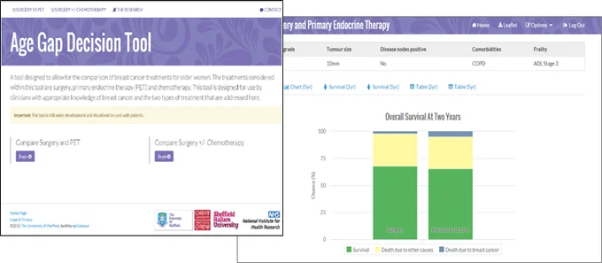 The front page and an example of the output from the decision tool