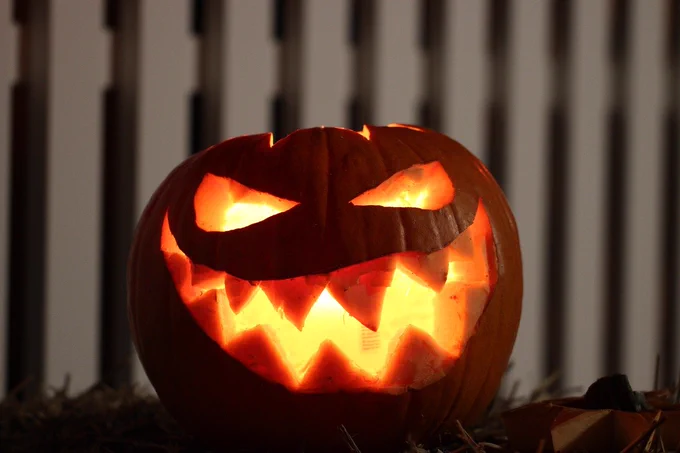 pumpkin, halloween, frankenweenie
