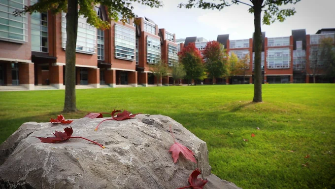Polonsky Commons in the autumn. The grass is mostly green with a little yellow to it. The trees in the distance are green and red as the leaves have started to change colour with the season. In the foreground, red maple leafs are sitting on top of a rock. 