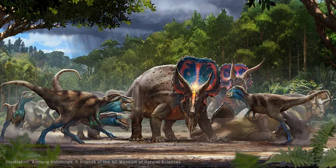 An illustration the start of epic battle between several T. rex and Triceratops, all bent forward in a fighting stance.