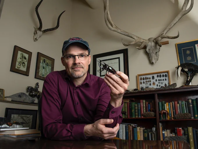 An expert on the evolution of animal weaponry, UM researcher Doug Emlen recently was named a Regents Professor, the highest faculty rank in the Montana University System. 