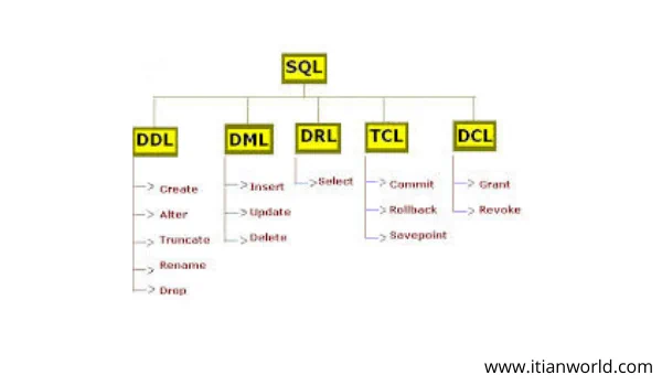 The full form of SQL is Structured Query Language