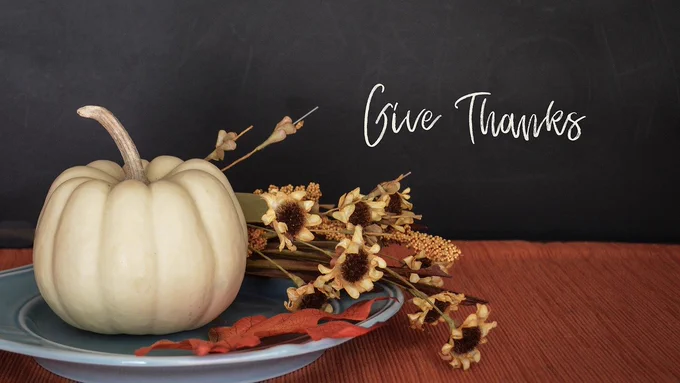 thanksgiving, fall, pumpkin
