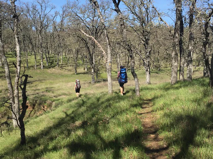 Two people hiking in green grass.