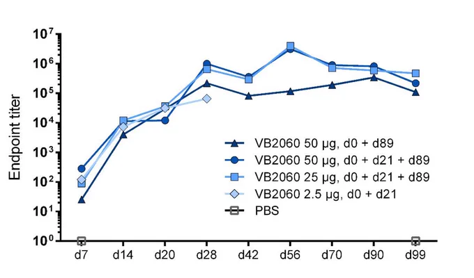 Kinetics of anti-RBD IgG response in mice vaccinated with VB10.COV2 VB2060
Mice were vaccinated by i.m. administration of VB2060 immediately followed by electroporation 46 of  the  injection  site.  Dose  time  points  and  dose  levels  are  indicated.  a  Serum  anti-RBD  IgG  47 assessed until day 99 post first vaccination. 