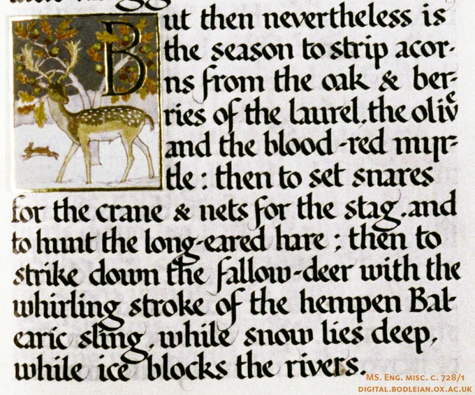 Fragment of text illustrated with a deer and a hare in snow.