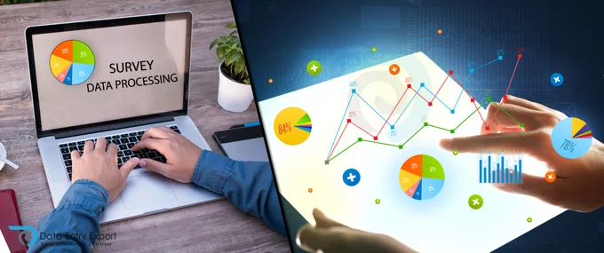 survey data processing services