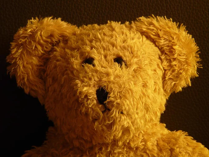 close up of brown teddy bear
