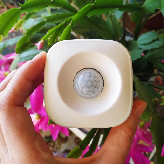 A hand holding a smart presence sensor in front of a plant with flowers