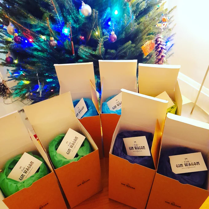 Boxed gin glasses in front of a Christmas tree