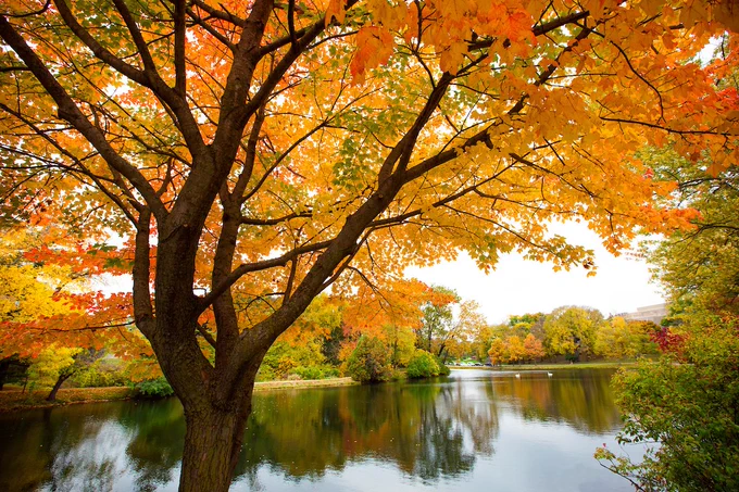 Fall colors reflected on the placid surface of Lake LaVerne.