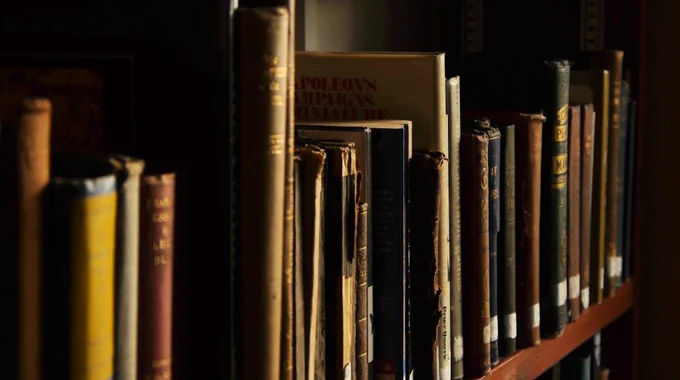 A sunlit bookshelf with old books.